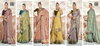 Navanya 02 By Vallabhi Printed Designer Brasso Sarees Wholesalers In Delhi
